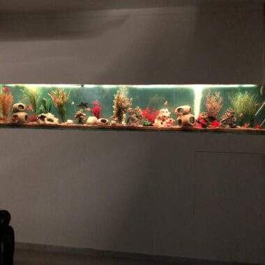 Glaswerken Maastricht - aquarium